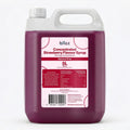 Blizz Strawberry Slush 5L – Glycerol-Free
